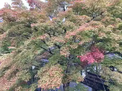 室生寺(奈良県)