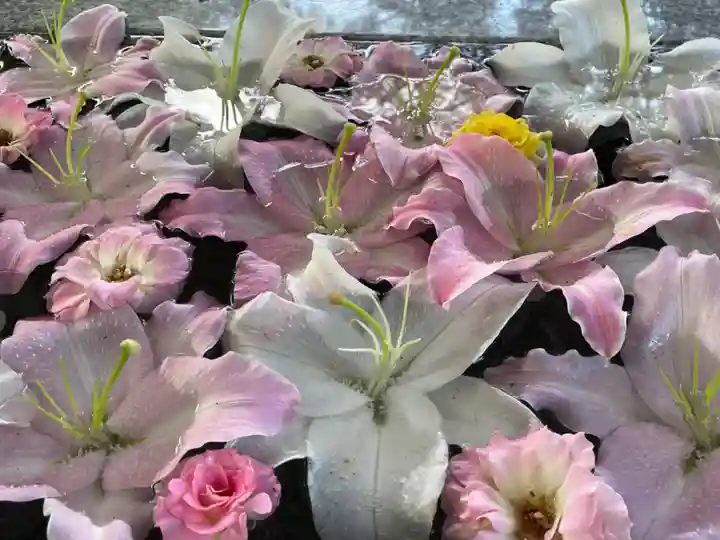 美幌神社(北海道)