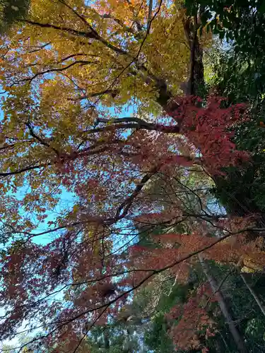 天台宗　長窪山　正覚寺の自然
