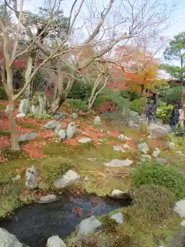 天龍寺の庭園