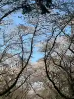 東蕗田天満社(茨城県)