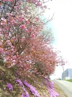 厚別神社(北海道)