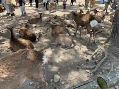 興福寺 南円堂(奈良県)