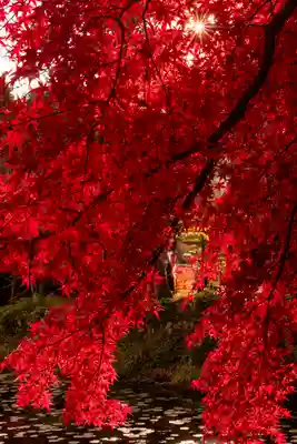 大原野神社(京都府)