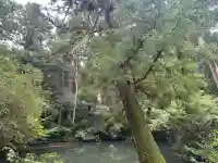 伊勢神宮外宮(豊受大神宮)(三重県)