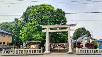 島田八坂神社(栃木県)