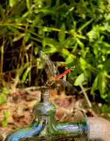 蚊里田八幡宮(長野県)