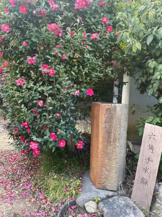 北向山不動院の{uncategorized: "未分類", other: "その他", undefined: "問題あり", building: "その他建物", grave: "お墓", sacred_gate: "鳥居", guardian: "狛犬", statue: "像", buddha: "仏像", history: "歴史", nature: "自然", garden: "庭園", animal: "動物", pagoda: "塔", temizu: "手水舎", mountain_gate: "山門・神門", sanctuary: "本殿・本堂", subordinate: "末社・摂社", art: "芸術", scenery: "景色", jizo: "地蔵", ema: "絵馬", goshuin: "御朱印", omikuji: "おみくじ", items: "授与品その他", amulet: "お守り", goshuincho: "御朱印帳", eats: "食事", festival: "お祭り", votive_dance: "神楽", shichigosan: "七五三参", wedding: "結婚式", experience: "体験その他", initially: "初詣", around: "周辺", anti_infection: "感染症対策"}