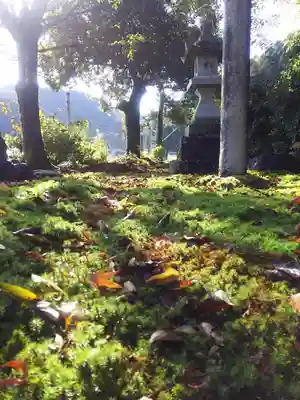 幡稲荷五桂大神社の庭園