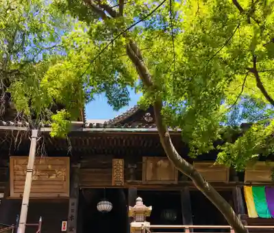 長谷寺のその他建物