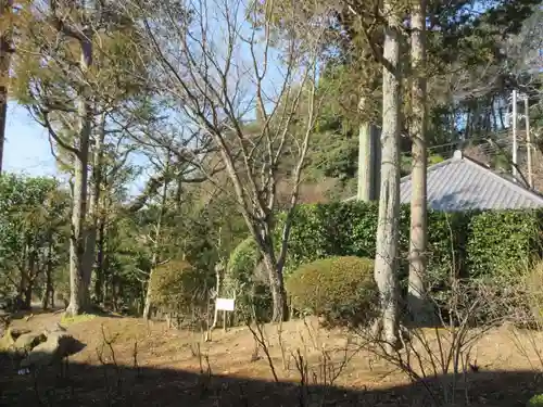 浄妙寺(神奈川県)
