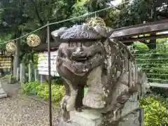 菊田神社の狛犬