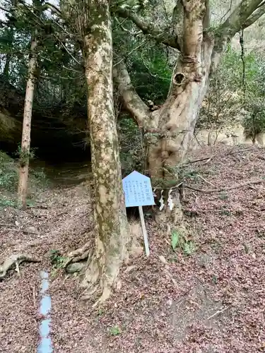 青麻神社(宮城県)