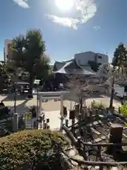 鳩森八幡神社(東京都)