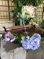 氷川鍬神社の手水