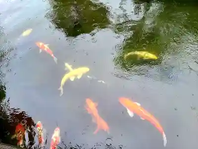石母田 三吉神社の動物