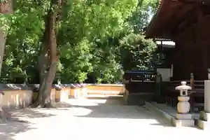 三津厳島神社(愛媛県)(2026年05月14日(木) 16時20分42秒投稿)