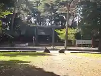 埼玉縣護國神社(埼玉県)