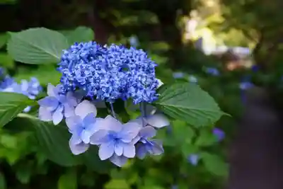 杉山谷不動尊(京都府)