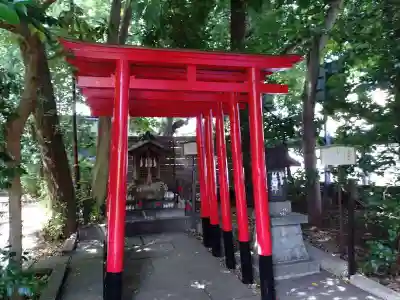 鎮守氷川神社(埼玉県)
