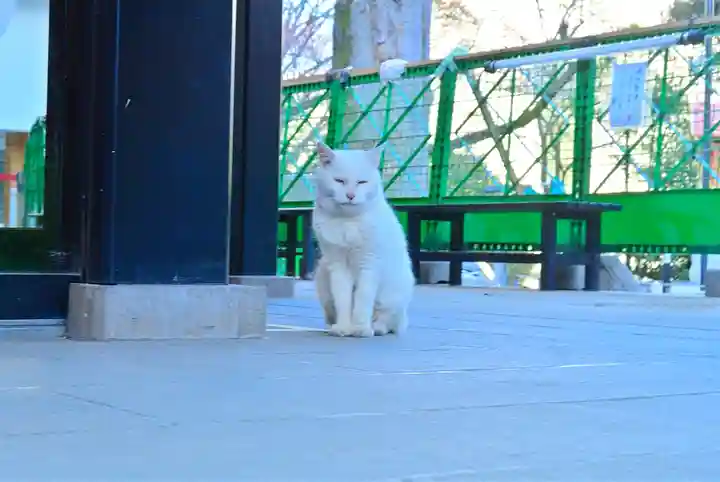 愛宕神社(東京都)
