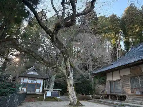 福田寺(愛知県)