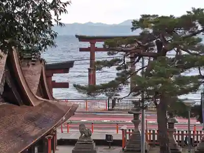 白鬚神社(滋賀県)
