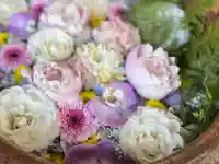 多賀神社の手水舎