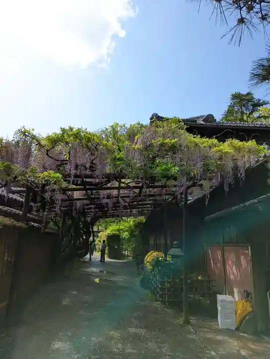 長岡天満宮(京都府)