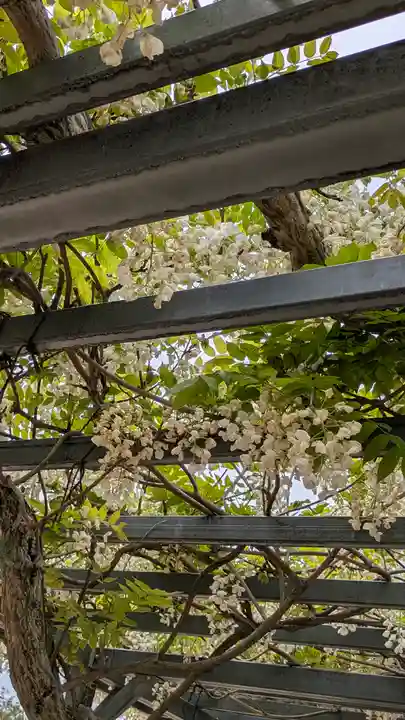 誉田八幡宮(大阪府)