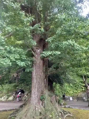 安房神社(千葉県)