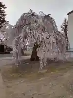 法運寺(宮城県)