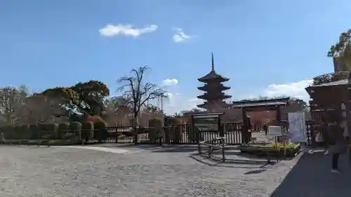 東寺（教王護国寺）(京都府)
