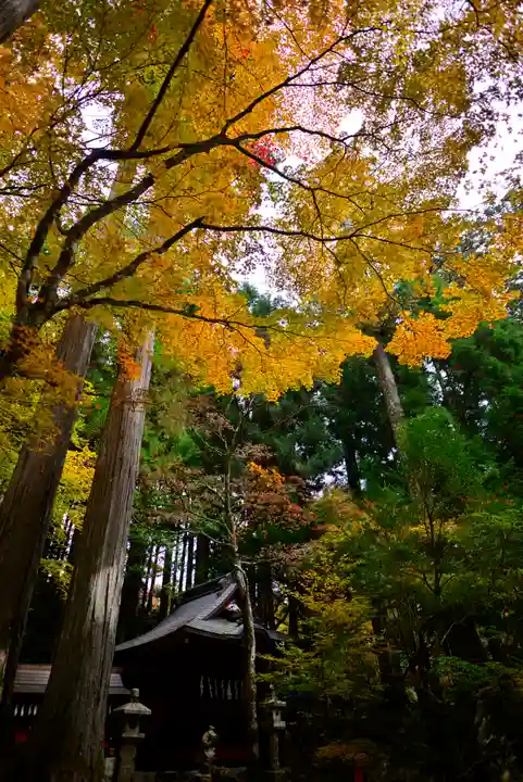 三峯神社(埼玉県)