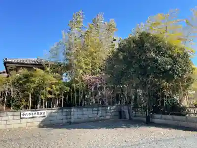 中台寺の{uncategorized: "未分類", other: "その他", undefined: "問題あり", building: "その他建物", grave: "お墓", sacred_gate: "鳥居", guardian: "狛犬", statue: "像", buddha: "仏像", history: "歴史", nature: "自然", garden: "庭園", animal: "動物", pagoda: "塔", temizu: "手水舎", mountain_gate: "山門・神門", sanctuary: "本殿・本堂", subordinate: "末社・摂社", art: "芸術", scenery: "景色", jizo: "地蔵", ema: "絵馬", goshuin: "御朱印", omikuji: "おみくじ", items: "授与品その他", amulet: "お守り", goshuincho: "御朱印帳", eats: "食事", festival: "お祭り", votive_dance: "神楽", shichigosan: "七五三参", wedding: "結婚式", experience: "体験その他", initially: "初詣", around: "周辺", anti_infection: "感染症対策"}