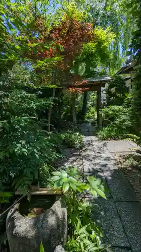 妙雲院(京都府)