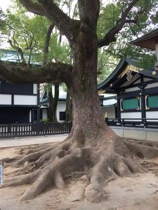 穴八幡宮の自然