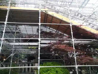 阿智神社の本殿・本堂