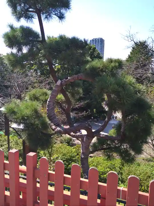 清水観音堂の庭園