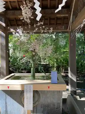赤坂氷川神社の手水舎
