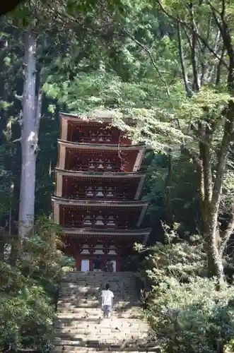 室生寺の塔