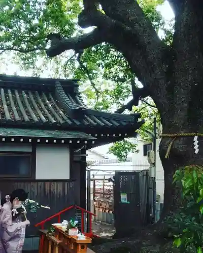 阿保神社(大阪府)