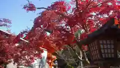 賀茂別雷神社（上賀茂神社）の自然