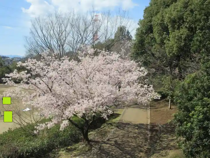 王禅寺(神奈川県)