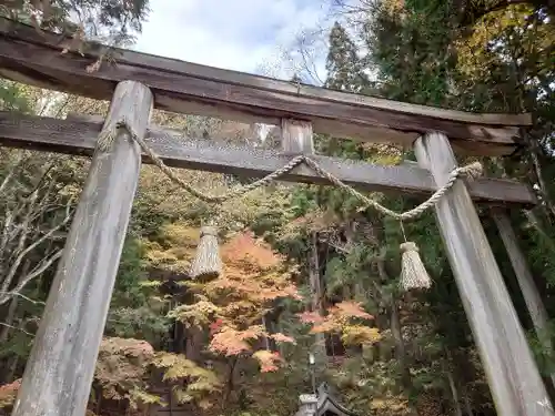 戸隠神社火之御子社の鳥居