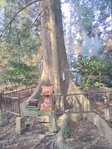 宮原八幡宮(栃木県)