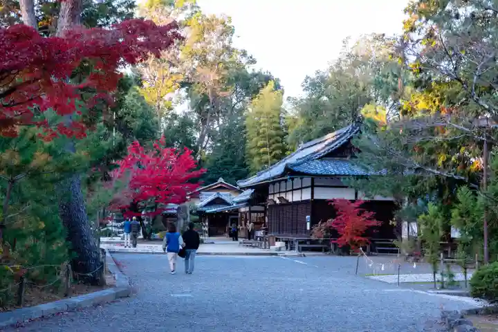 今宮神社(京都府)