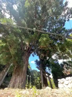劔主神社(奈良県)