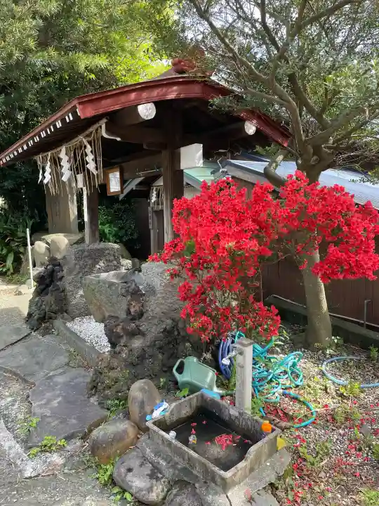 子之神社の{uncategorized: "未分類", other: "その他", undefined: "問題あり", building: "その他建物", grave: "お墓", sacred_gate: "鳥居", guardian: "狛犬", statue: "像", buddha: "仏像", history: "歴史", nature: "自然", garden: "庭園", animal: "動物", pagoda: "塔", temizu: "手水舎", mountain_gate: "山門・神門", sanctuary: "本殿・本堂", subordinate: "末社・摂社", art: "芸術", scenery: "景色", jizo: "地蔵", ema: "絵馬", goshuin: "御朱印", omikuji: "おみくじ", items: "授与品その他", amulet: "お守り", goshuincho: "御朱印帳", eats: "食事", festival: "お祭り", votive_dance: "神楽", shichigosan: "七五三参", wedding: "結婚式", experience: "体験その他", initially: "初詣", around: "周辺", anti_infection: "感染症対策"}