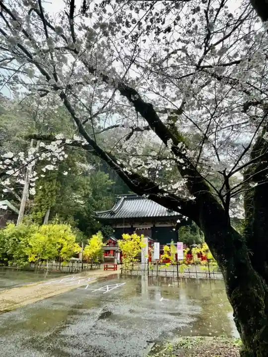 静岡浅間神社(静岡県)